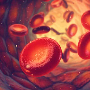 artistic rendering of red blood cells