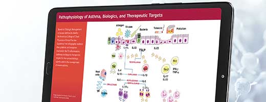 Biologic Management in Severe Asthma for Adults guideline imagery