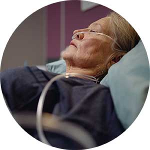 Bacteria mycobacterium abscessus