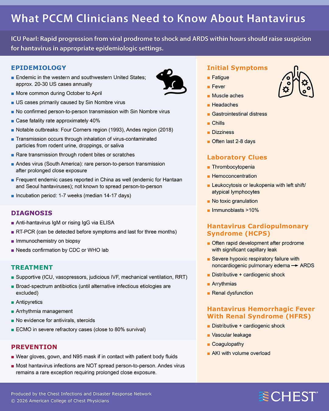 Hantavirus infographic